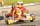 cart_karting_photo_157